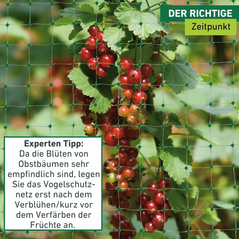 ORTONET Windhager Bird Protection Netting