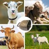 Pack of 4 Goat Collars with Bell, Vintage Mini Cowbell