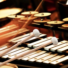 VixxNoxx 2 Pcs Timpani Mallet, 14 Inches Soft Felt Drum mallets with Drum sticks Bag, Percussion instrument Accessories for Marimba, Xylophone, Glockenspiel, Ideal for Beginners & Music Lovers