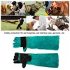 Leather Pet Training Anti bite Anti Scratch Animal Protective Safety