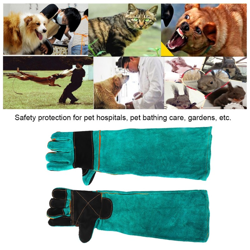 Leather Pet Training Anti bite Anti Scratch Animal Protective Safety