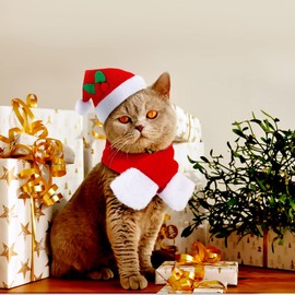 4 Pieces Christmas Cat Costumes Set Cat Santa Hats with Scarf and Collar Xmas Cat Outfit for Cats Small Dogs Puppy Tiny Pets Christmas Muffler Head Wear Accessories