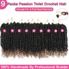 9 Packs Passion Twist Crochet Hair 12 Inch Pre-twisted Passion