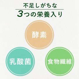 Itoen 1 Cup of Green Juice Daily Lactic Acid Bacteria, Sugar Free, 0.2 oz (5.0 g) x 20 Packets, Powder, Nutritional Supplement