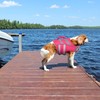 Kuoser XXL Dog Life Jacket for Large Breeds, High Flotation