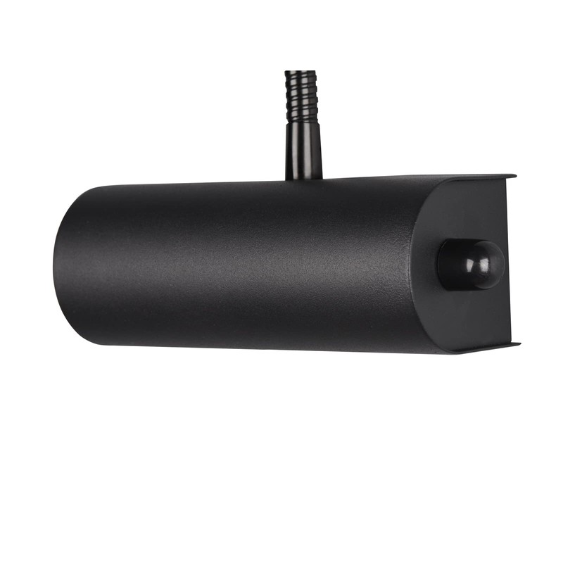 Set of 2 Dimmable Picture Lights with Flexible Arm Matte