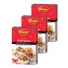Shan - Chaat Masala Seasoning Mix (100g) - Spice Packets
