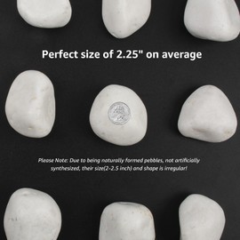 LOOIOOJ 20 lbs White Polished Decorative Stones, 2-3 Inch Polished Rocks, Ideal for Garden Landscaping, Potted Plants, Pathways, Vase Fillers, and Aquarium Decoration(Pure White, Weight: 20 LB)