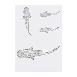 4 x 'Whale Shark' Temporary Tattoos - Water Resistant, Skin-Safe, Non-Toxic Transfers, Mixed Sizes (TO00071806)