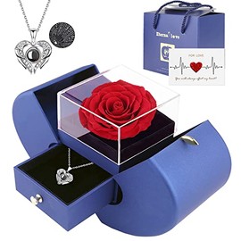Juego de rosas preservadas con collar I Love You, 100 idiomas, regalos para esposa, novia, mamá, mujeres y ella, Plástico, acrílico