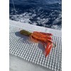 Take's ANTAIKASUWA TG Sea Bream Lava Lure (2.8 oz (80