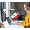Mexico Desk Flag,12 inch Tall Small Mexicans Indoor Banner,Tiny Printing