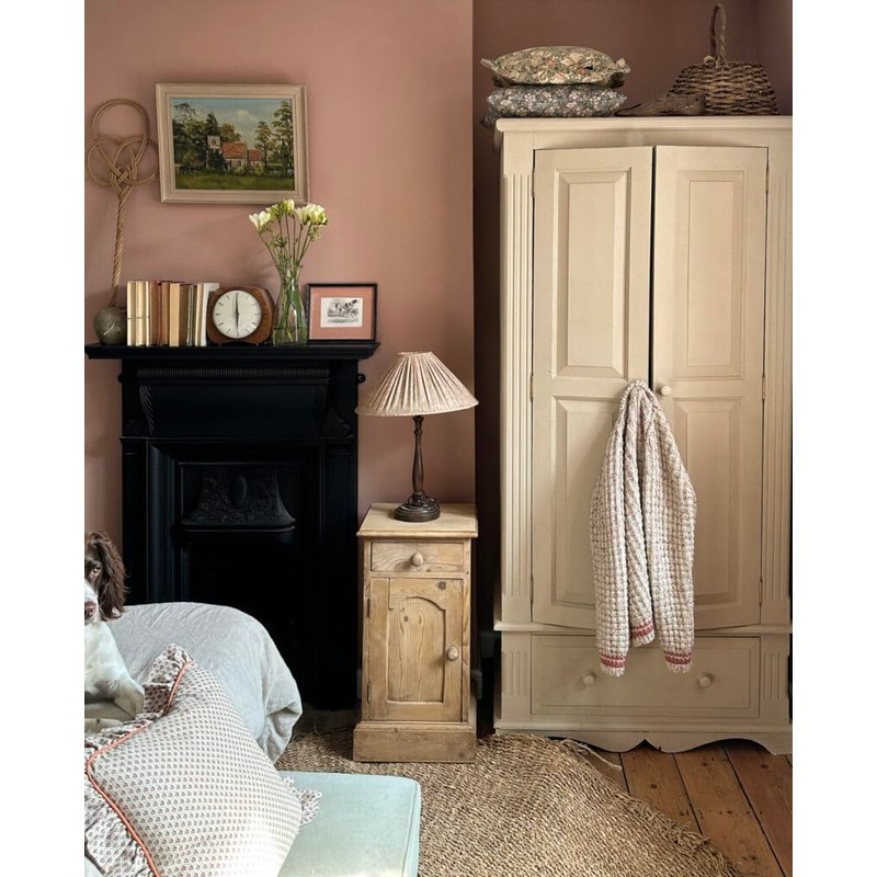 Annie Sloan Wall Paint (Piranesi Pink, 4 Fl Oz Tester)
