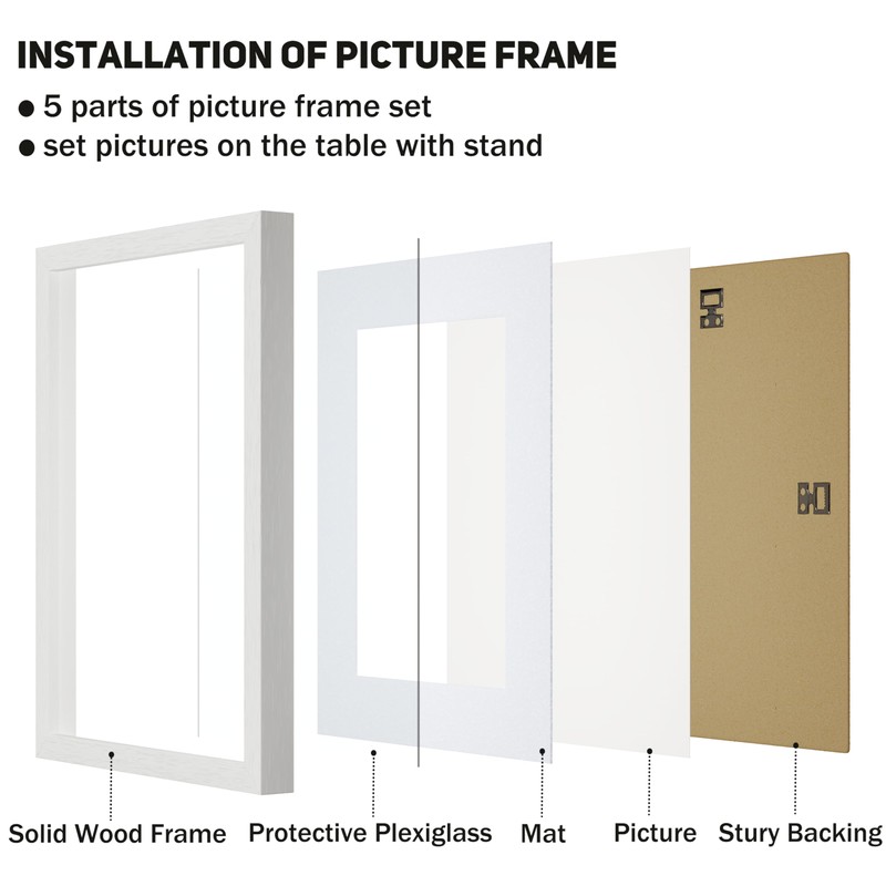 A4 Picture Photo Frames Set of 2,8x11'' Picture without Mat