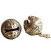 Alpha Depot Keychain Amulet Bell Key Holder Evil Guard Lion