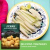 Jicama Seeds - Drought Resistant Mexican Turnip - Size: 5