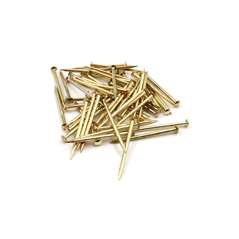 Design61 100x Steel Pins Steel Nails Skirting Board Pins Nail