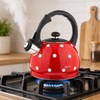 Whistling Kettle, Teapot, Water Jug, Kettle (Red)