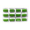 Clorets Plus Sugarless Gum 12pk–Mint Flavor (12 pieces of gum