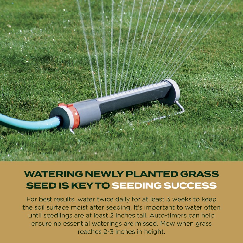 Scotts EZ Seed Patch & Repair Southern Gold Blend for