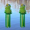 THQZLH 40-Inch Frog Windsock - Fun Summer Decoration for Outdoor