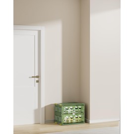 Portable Shoe Storage Cabinent of 3-Step Fast Installation,Green Foldable Shoe Organizer Box with Magnetic Clear Door for Entryway, Enclosed Shoe Rack for Sneaker, Heels etc.. (Green, 1Row 2Tier)