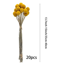 20PCS Natural Dried Flowers Craspedia Billy Balls Flowers Yellow 3cm Dried Craspedia Flowers Billy Buttons Floral Bouquet for Flower Arrangements Wedding Home Tall Vase Decor Fall Autumn