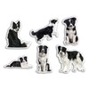6 x 10cm Border Collie Vinyl Stickers - Dogs Puppy