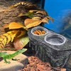 PINVNBY Reptile Feeding Ledge with Suction Cups,Crested Gecko Feeder Ledges