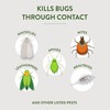 Garden Safe 32 oz. Insecticidal Soap Ready-to-Use, 1 Count (Pack