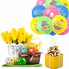HADCKJA Easter Party Latex Balloons Decorations 12 Inch Easter Balloons