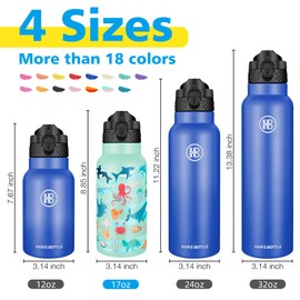 Han's Bottle Kids Water Bottle with Straw Lid - Insulated Stainless Steel Reusable Tumbler for Girls,Boys,Thermo Mug,17oz,Ocean Fish