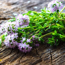 Outsidepride Summer Savory - 1 LB