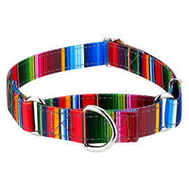 Country Brook Petz - Serape Reflective Martingale Dog Collar Featuring Night Safe Designs (1 Inch, Large)
