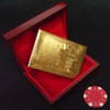 RedBeryl Gold Plastic Playing Cards with Exclusive Case (Gold Euro)