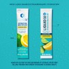 Liquid I.V. Sugar-Free Hydration Multiplier - Lemon Lime – Hydration