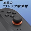 Savage Raven by Skull & Co. Switch2 Joy-Con Stick Cap,
