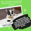 Detox 100% Natural De Uso Diario Para Perros Y Gatos