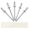 Pack of 100 Painted Blind Rivets 3.2 x 8 mm,