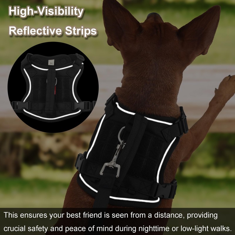 Meifsou Dog Harness and Leash Set, Small Sized No Pull