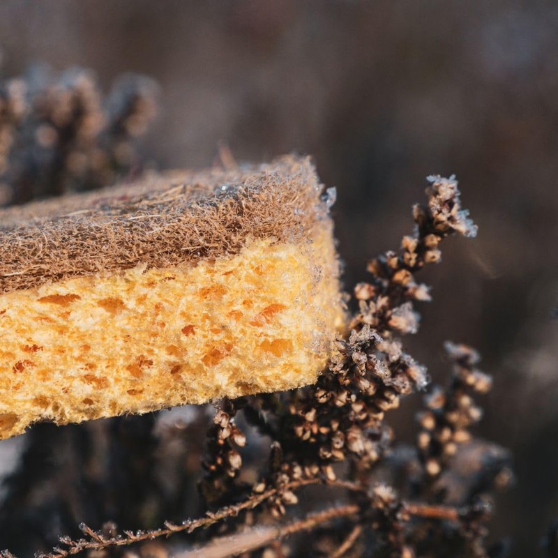 pandoo Household Sponges, Organic Cleaning Sponge, Kitchen Sponge, Dishwashing Sponge,