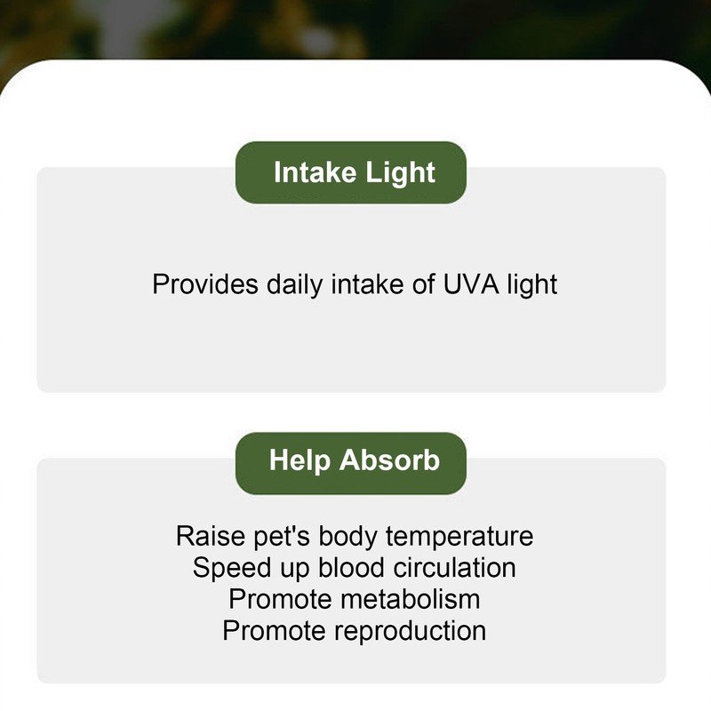 Reptile Heat Lamp UVA Full Spectrum Adjustable Brightness Temp Climbing