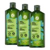 Yves Rocher Kit Shampoo Control Caspa