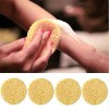 50 Pzs Esponja Facial Comprimida Para Limpieza Y Exfoliación