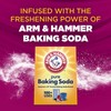 ARM & HAMMER Clean Scentsations In-Wash Scent Booster, Laundry Scent