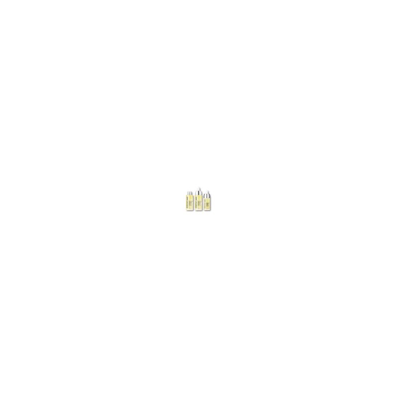 차앤박(CNP) 프로폴리스 액티브 앰플 30ml 2개 (+15ml) CNP Propolis Active