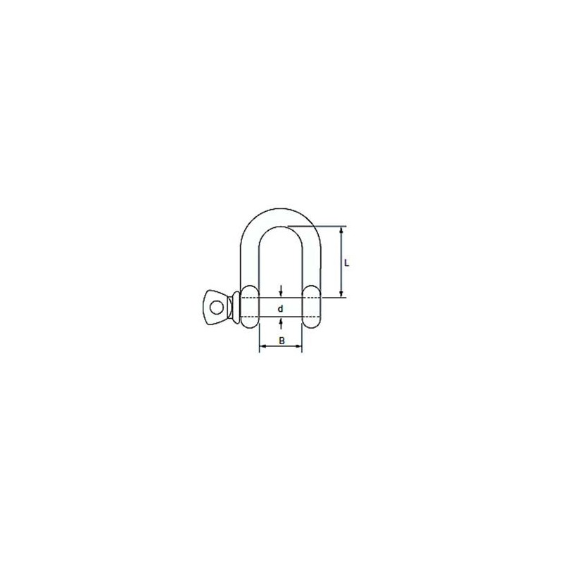 SUS 捻 inclusive Shackle Forged with 16 mm Rim with