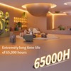 PAUTIX COB LED Strip Light 2700K,16.4ft Dimmable 2520LEDs DC24V Warm