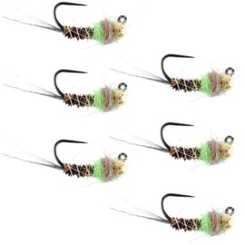 The Fly Fishing Place Tungsten Bead Hot Spot Pheasant Tail Tactical Jig Chartreuse Czech Nymph Euro Nymphing Fly - 6 Flies Size 14