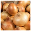 Everwilde Farms - 1 Lb Texas Early Grano Onion Seeds